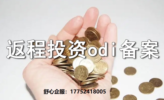 返程投资ODI
